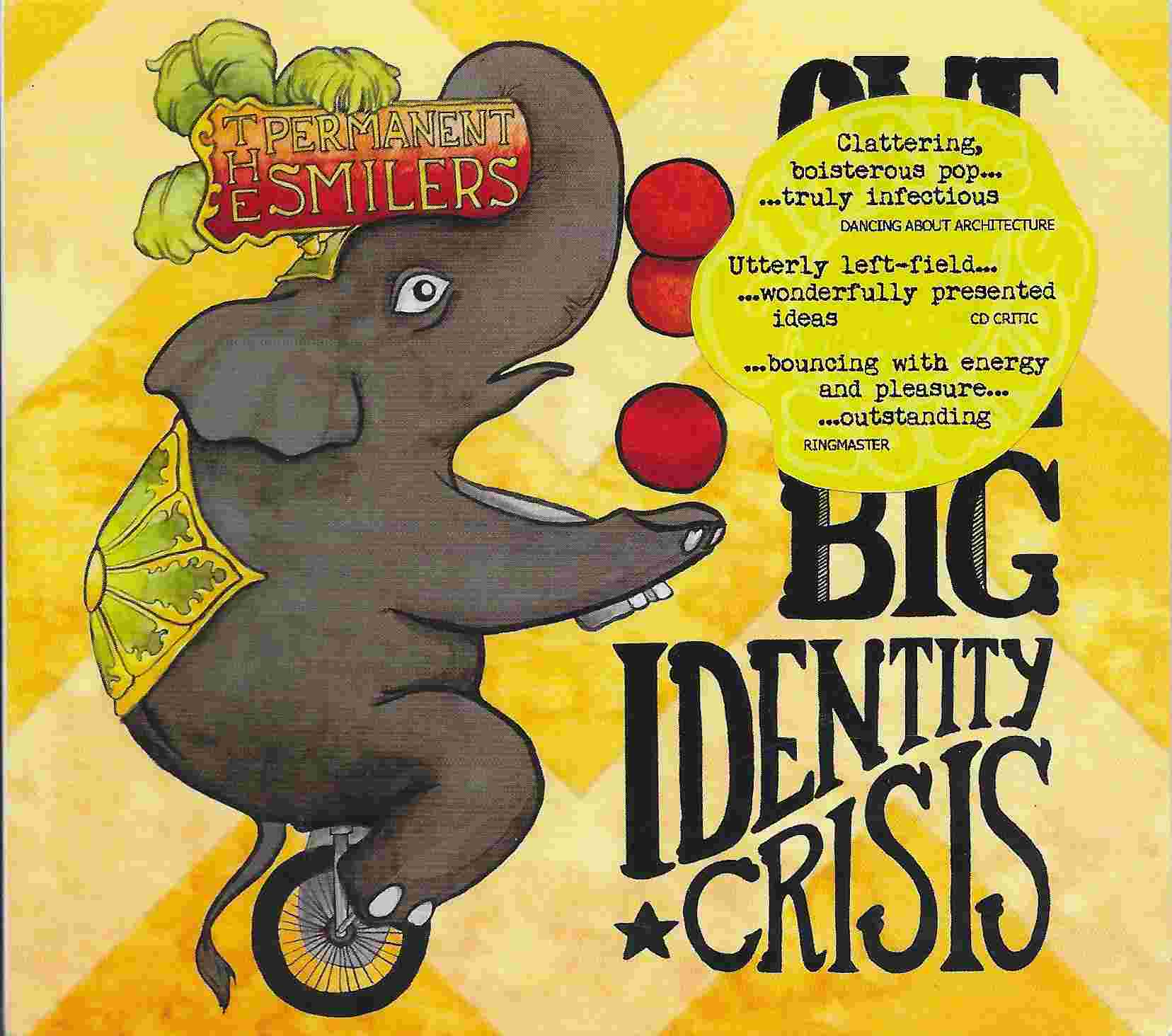 Picture of CITRIC 10 One real big identity crisis by artist The Permanent Smilers 
